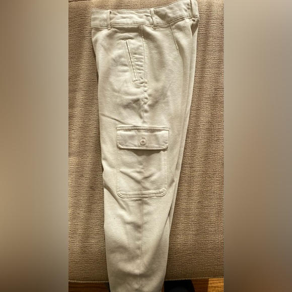 Aritzia Wilfred Modern Cargo Pants - Picture 11 of 12